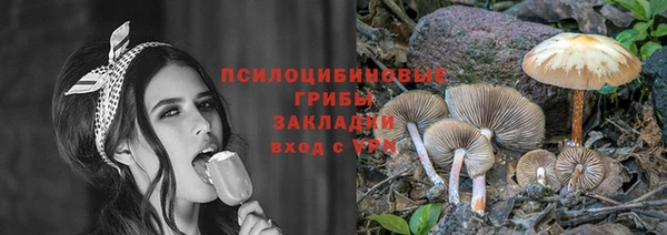 амф Алзамай