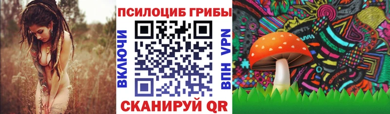 mega tor  Котельники  Псилоцибиновые грибы прущие грибы 
