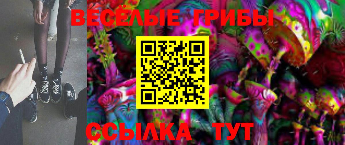 Котельники  Галлюциногенные грибы мухоморы  Вход с VPN  Псилоцибиновые грибы ЛСД 