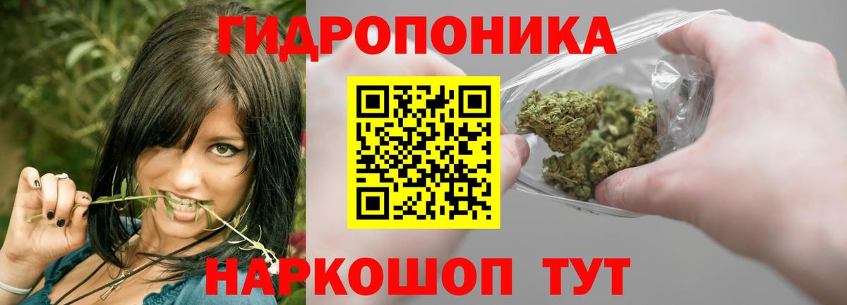 Конопля OG Kush Котельники